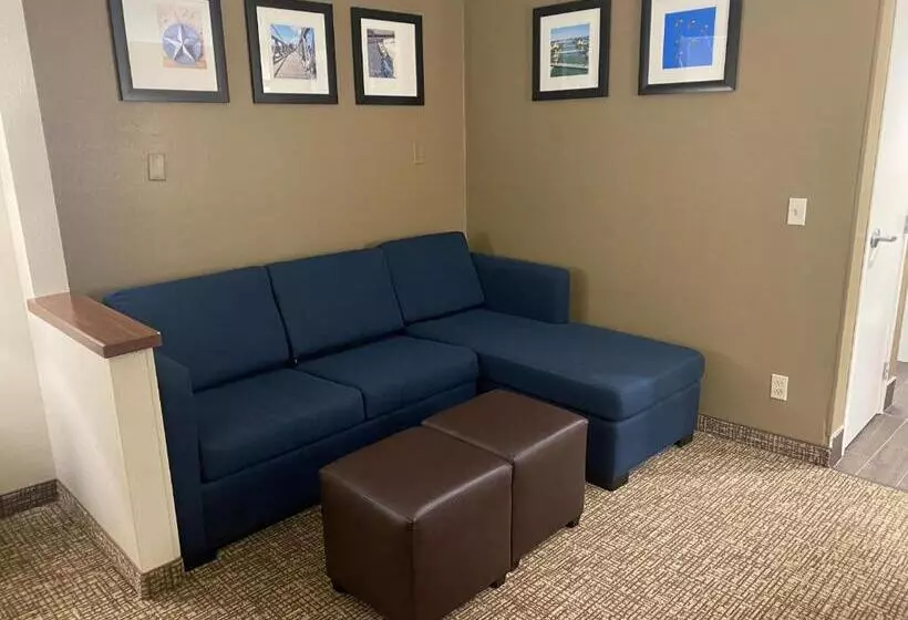سوئیت با تخت بزرگ, Comfort Inn & Suites Temple   Medical Center
