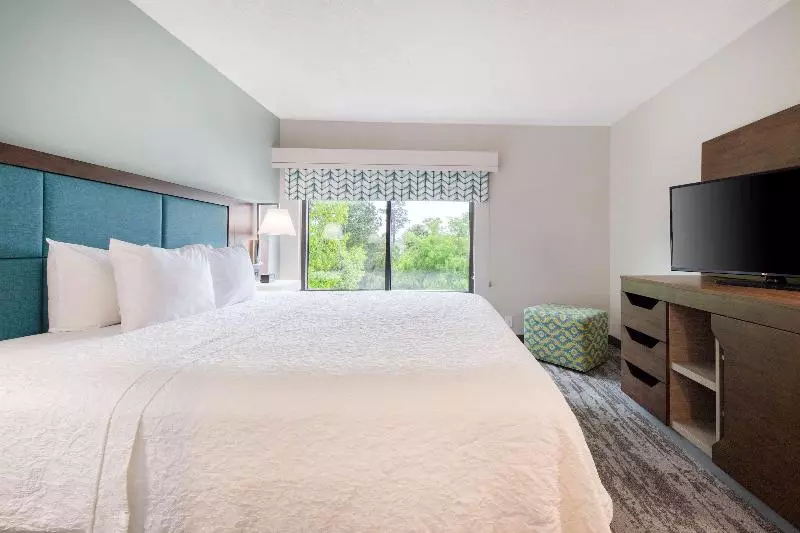 سوئیت با تخت بزرگ, Hampton Inn & Suites Wilmington/wrightsville Beach