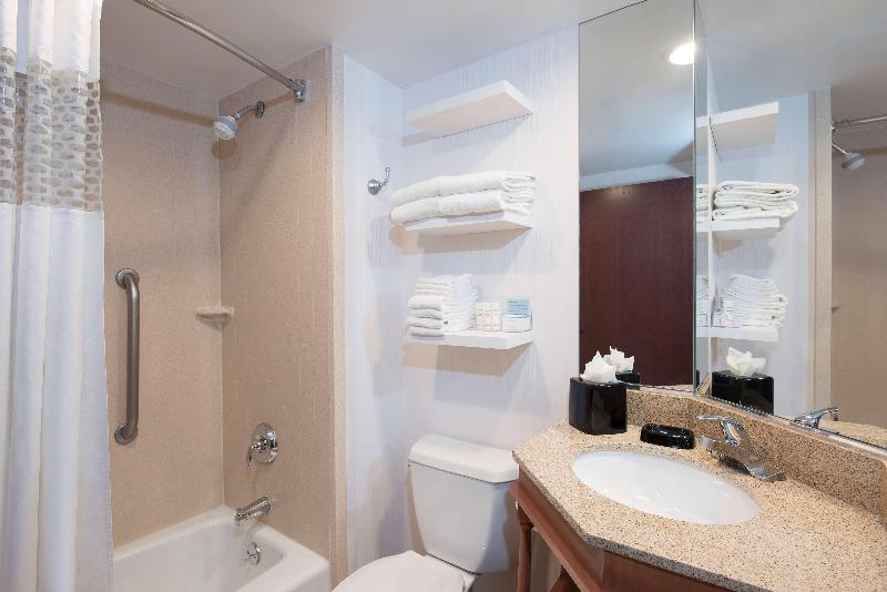 스탠다드 룸 킹사이즈 침대, Larkspur Landing Ann Arbor