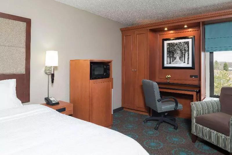 اتاق استاندارد با تخت بزرگ, Larkspur Landing Ann Arbor