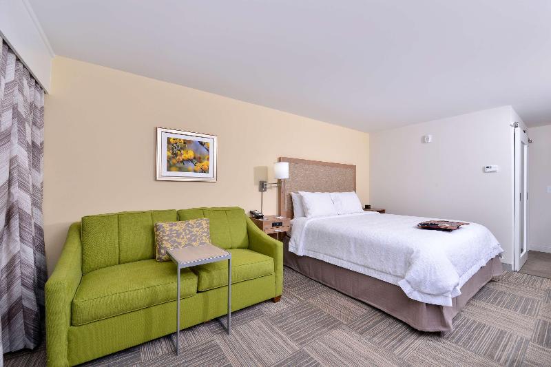غرفة قياسية سرير كينج, Hampton Inn Cartersville