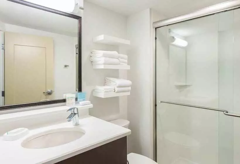 اتاق استاندارد با تخت بزرگ, Hampton Inn Columbia