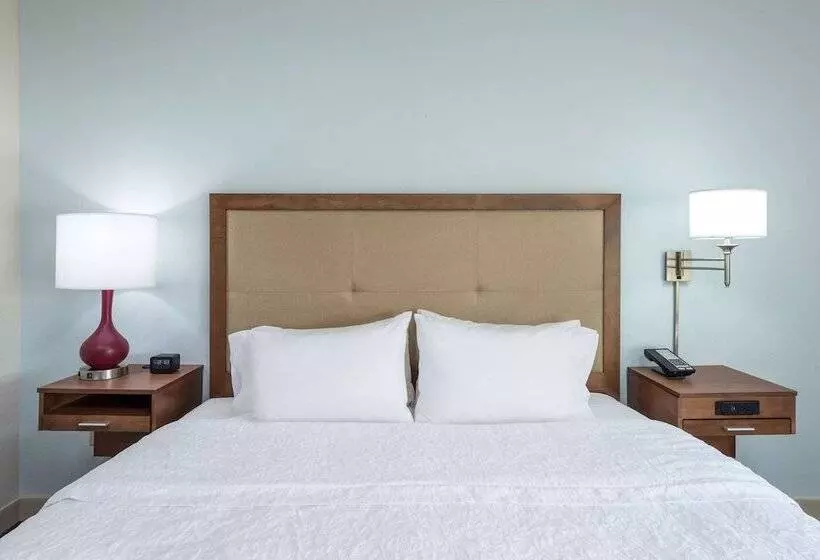 اتاق استاندارد با تخت بزرگ, Hampton Inn Columbia