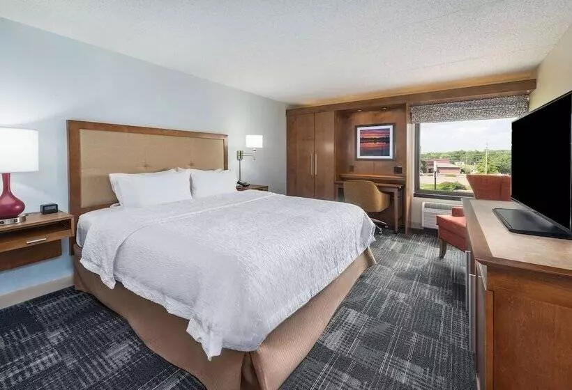 اتاق استاندارد با تخت بزرگ, Hampton Inn Columbia