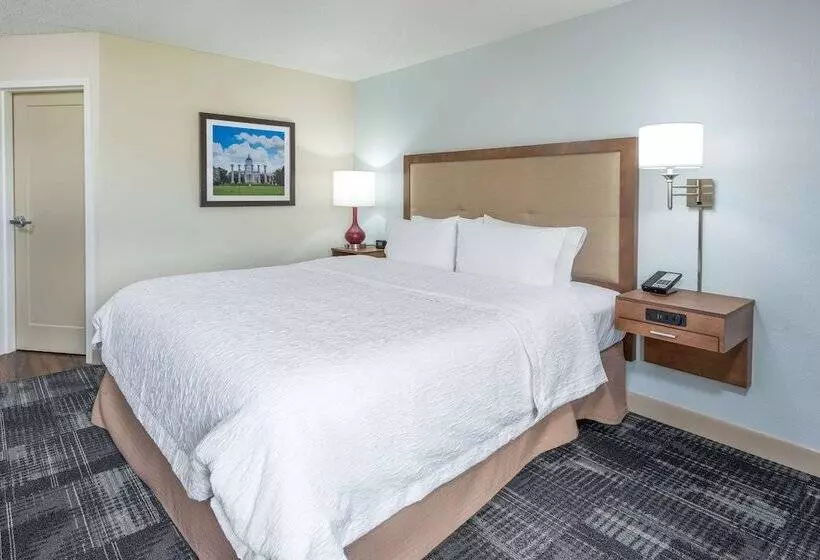 اتاق استاندارد با تخت بزرگ, Hampton Inn Columbia