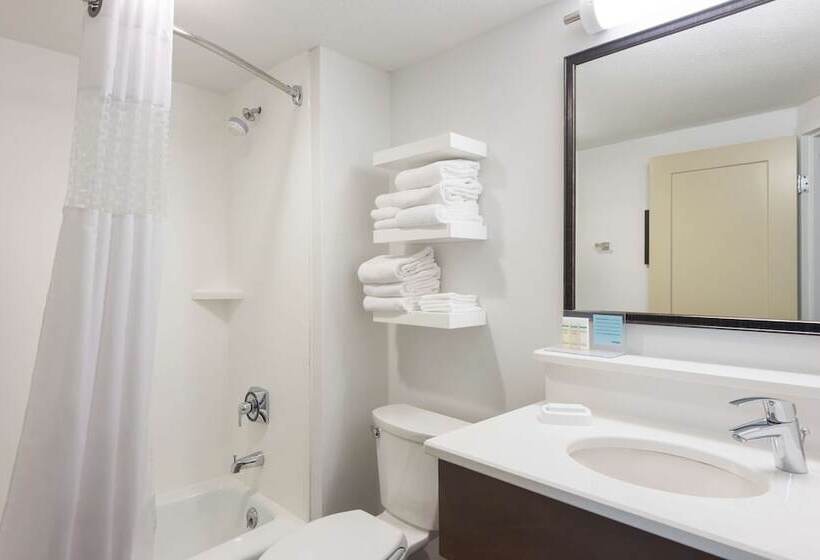 غرفة قياسية سرير كينج, Hampton Inn Columbia