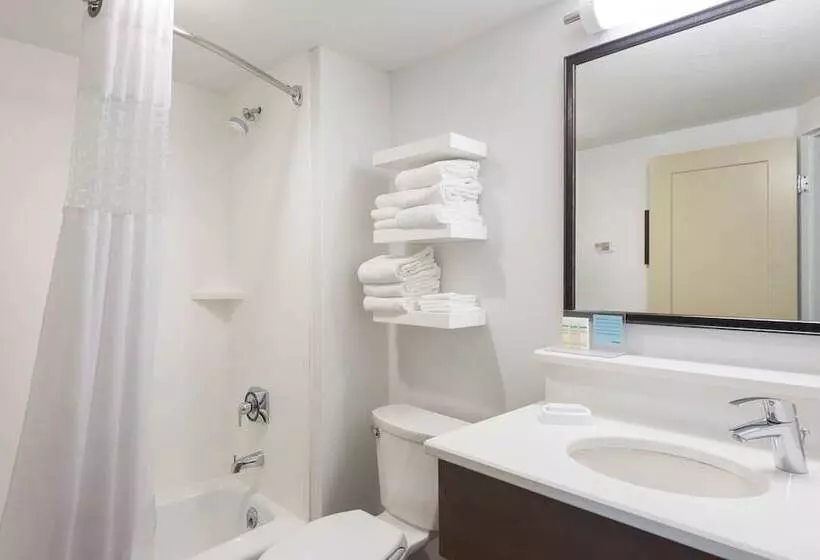 اتاق استاندارد با تخت بزرگ, Hampton Inn Columbia