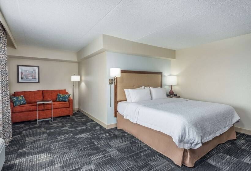 غرفة قياسية سرير كينج, Hampton Inn Columbia