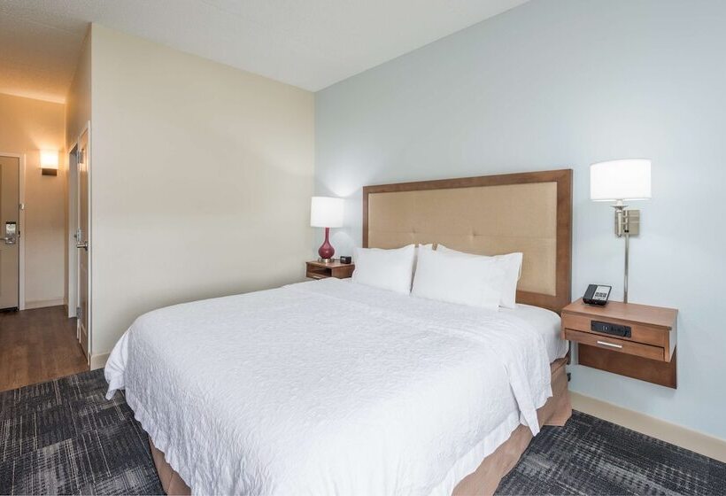 适合残疾人士使用的带超级大床的标准间, Hampton Inn Columbia