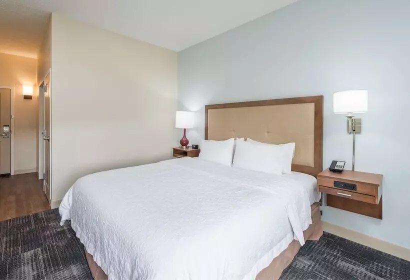 اتاق استاندارد با تخت بزرگ برای معلولان, Hampton Inn Columbia