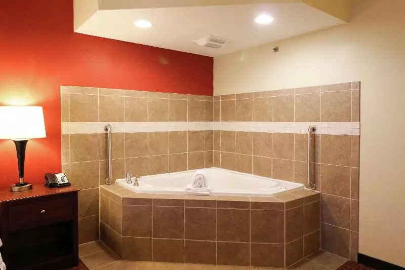 キングサイズベッドのスタンダードルーム, Hampton Inn Columbus South