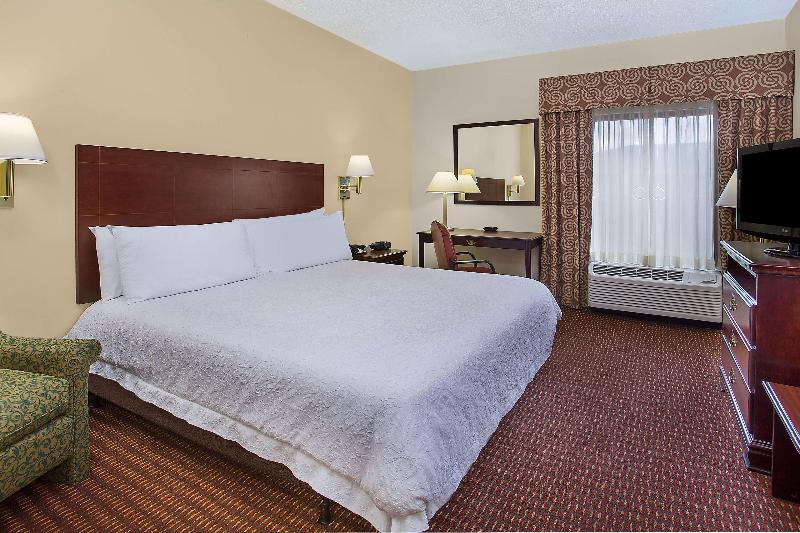 غرفة قياسية سرير كينج, Hampton Inn Conyers
