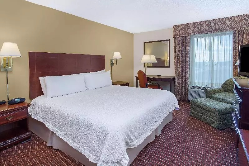 キングサイズベッドのスタンダードルーム, Hampton Inn Conyers