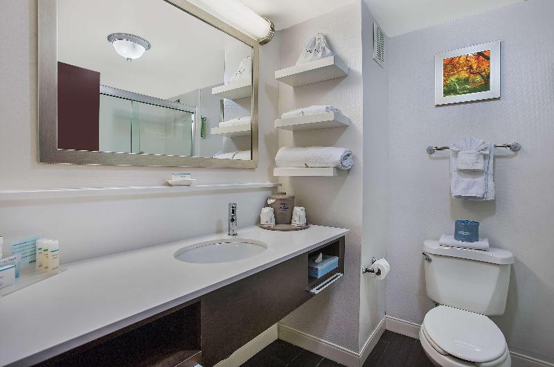 غرفة قياسية سرير كينج, Hampton Inn Conyers