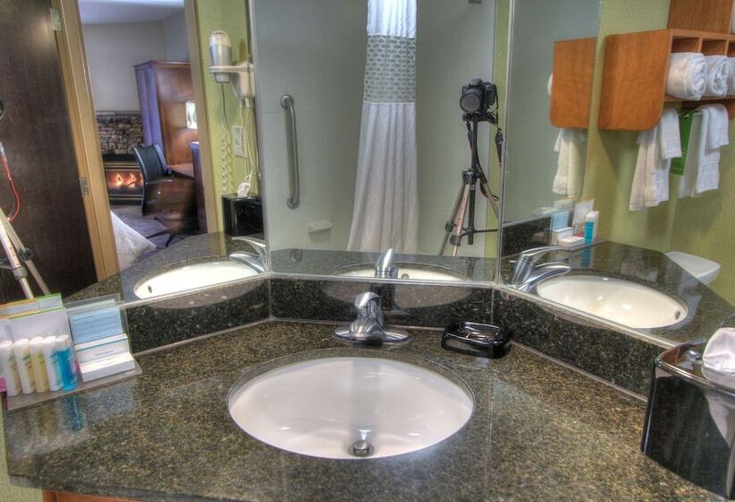 חדר סטנדרט מיטה זוגית, Hampton Inn Gatlinburg