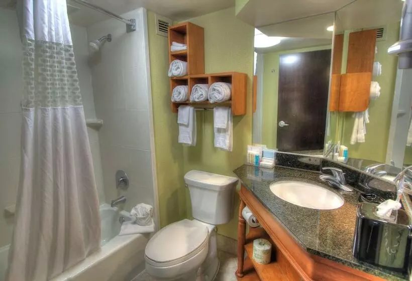 ダブルベッドスタンダードルーム, Hampton Inn Gatlinburg