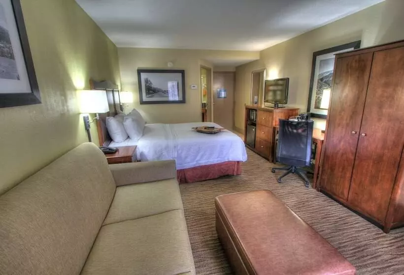 ダブルベッドスタンダードルーム, Hampton Inn Gatlinburg