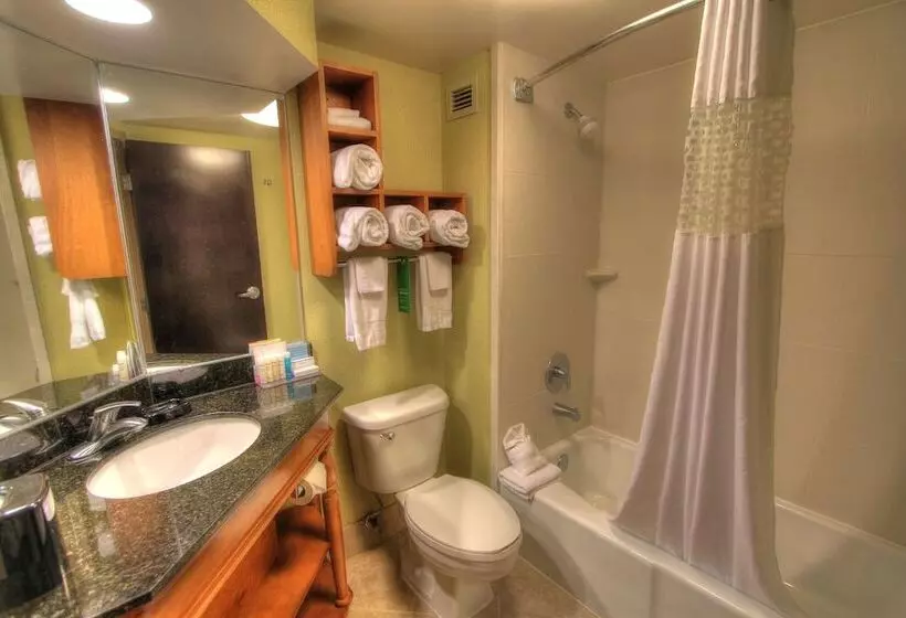 ２ダブルベッドのスタンダードルーム, Hampton Inn Gatlinburg