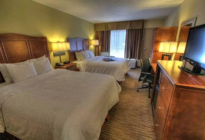 ２ダブルベッドのスタンダードルーム, Hampton Inn Gatlinburg