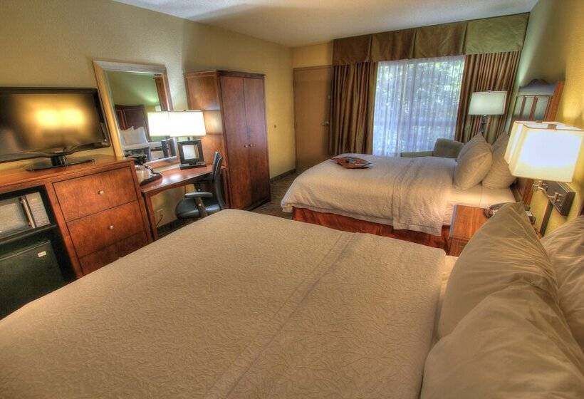 Pokój Standard 2 Łóżka Małżeńskie, Hampton Inn Gatlinburg