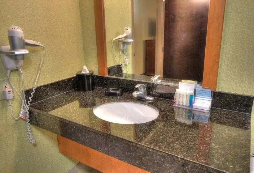 身障者適用ダブルベッド付きスタンダードルーム, Hampton Inn Gatlinburg