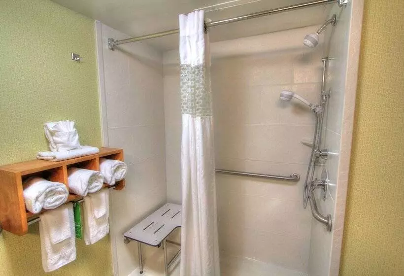 身障者適用ダブルベッド付きスタンダードルーム, Hampton Inn Gatlinburg