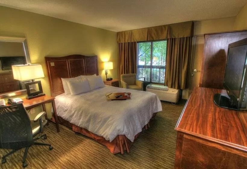 身障者適用ダブルベッド付きスタンダードルーム, Hampton Inn Gatlinburg