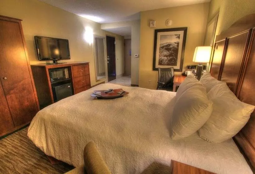 身障者適用ダブルベッド付きスタンダードルーム, Hampton Inn Gatlinburg