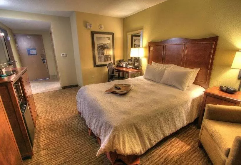 身障者適用ダブルベッド付きスタンダードルーム, Hampton Inn Gatlinburg