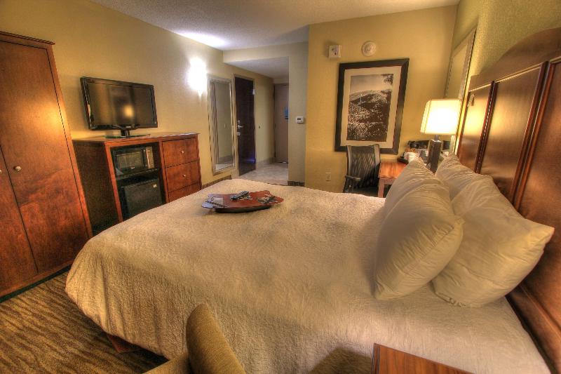 Pokój Standard z Widokiem, Hampton Inn Gatlinburg