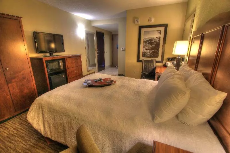 シングルデラックスルーム, Hampton Inn Gatlinburg