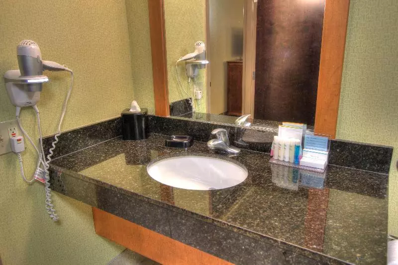 シングルデラックスルーム, Hampton Inn Gatlinburg