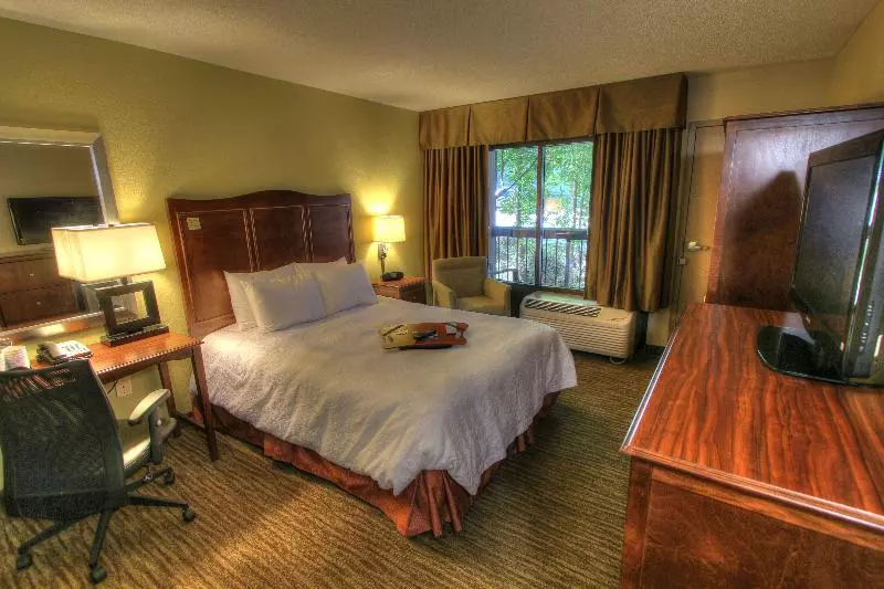 シングルデラックスルーム, Hampton Inn Gatlinburg