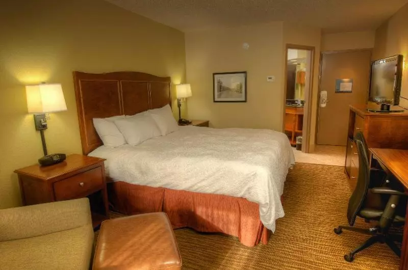 キングサイズベッドのスタンダードルーム, Hampton Inn Gatlinburg