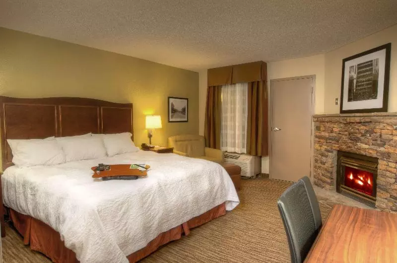 キングサイズベッドのスタンダードルーム, Hampton Inn Gatlinburg