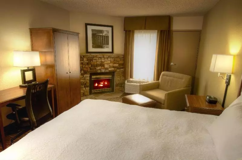 キングサイズベッドのスタンダードルーム, Hampton Inn Gatlinburg