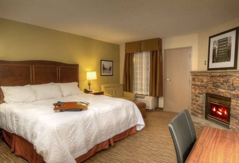 חדר סטנדרט מיטה זוגית, Hampton Inn Gatlinburg