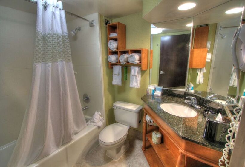 חדר סטנדרט שתי מיטות זוגיות, Hampton Inn Gatlinburg
