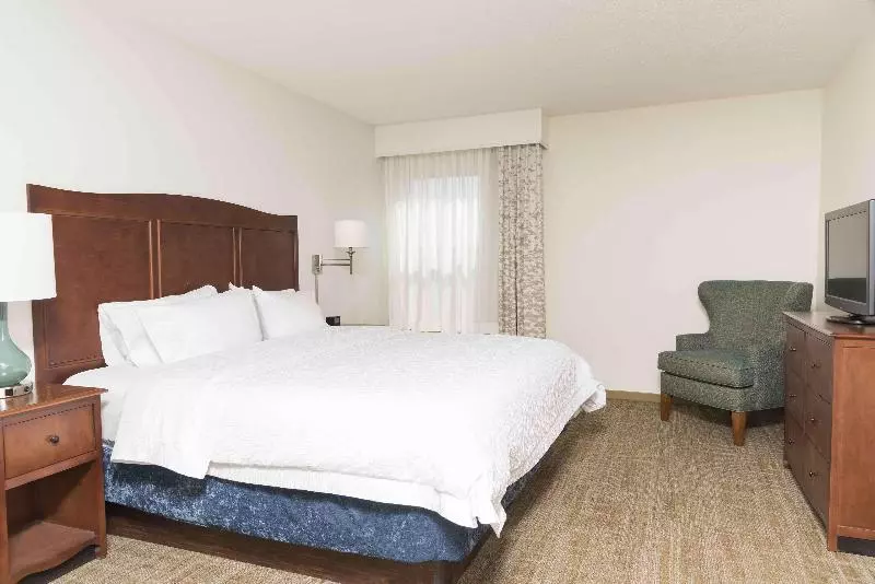 キングサイズベッドのスイートルーム, Hampton Inn Grand Rapids North