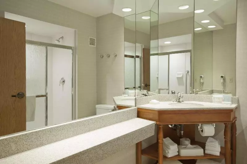 キングサイドベッドのスタンダードワンルーム, Hampton Inn Grand Rapids North