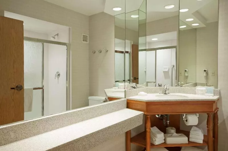 キングサイドベッドのスタンダードワンルーム, Hampton Inn Grand Rapids North