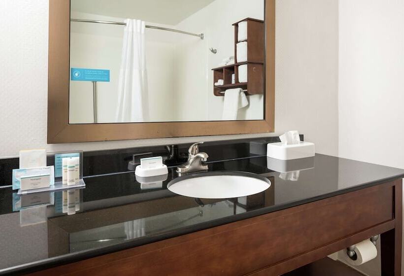 غرفة قياسية سرير ملكى, Hampton Inn Helen