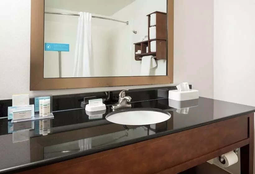 クイーンサイズベッドのスタンダードルーム, Hampton Inn Helen