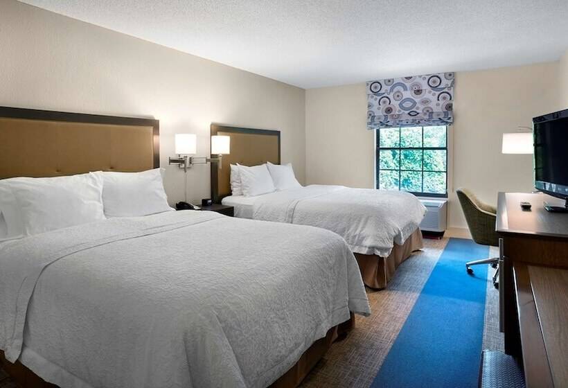 스탠다드 룸 퀸사이즈 침대, Hampton Inn Helen