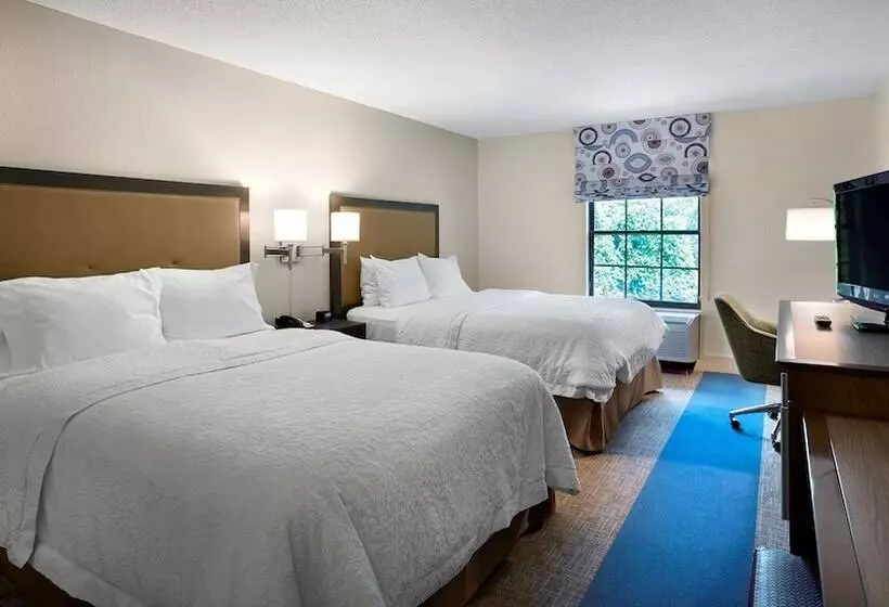 クイーンサイズベッドのスタンダードルーム, Hampton Inn Helen