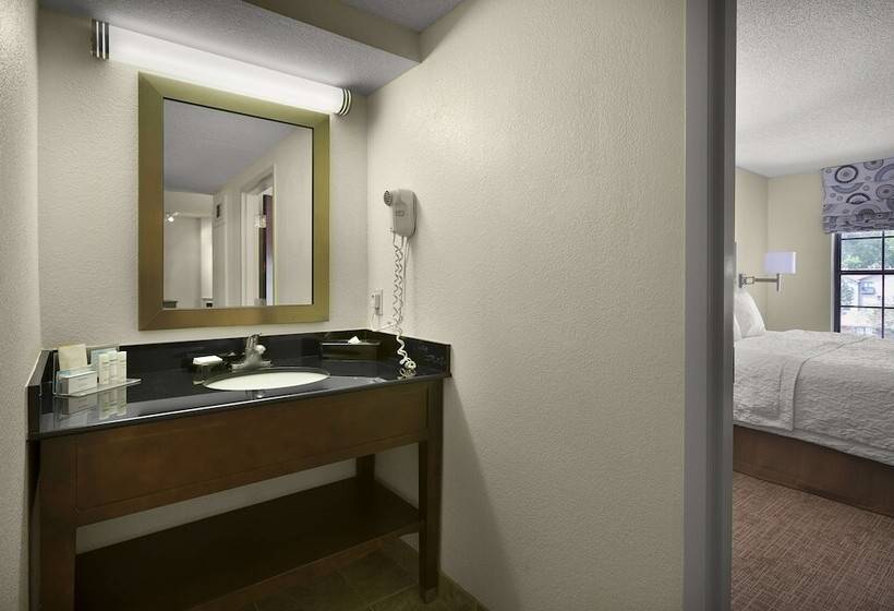 סטודיו סטנדרט, מיטה זוגית, Hampton Inn Helen