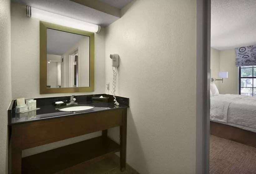 キングサイドベッドのスタンダードワンルーム, Hampton Inn Helen