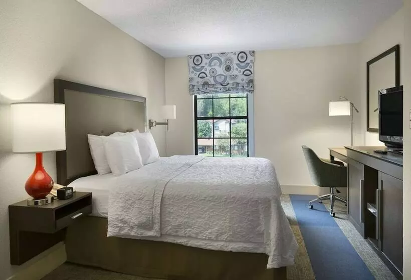キングサイドベッドのスタンダードワンルーム, Hampton Inn Helen