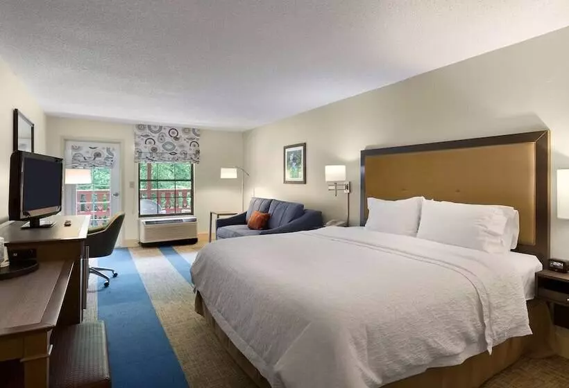 キングサイドベッドのスタンダードワンルーム, Hampton Inn Helen