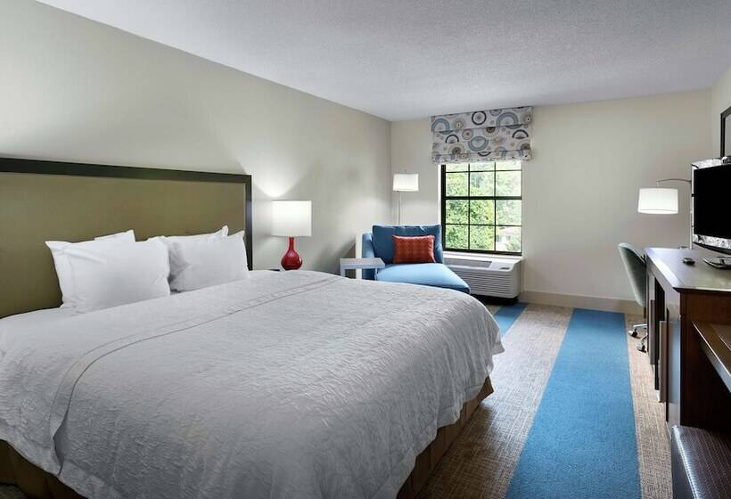 غرفة قياسية سرير كينج لذوى الإحتياجات الخاصة, Hampton Inn Helen